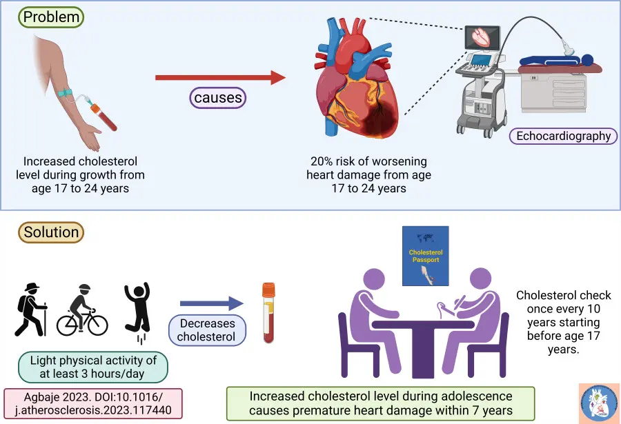 Elevated cholesterol in adolescence causes premature heart damage in a seven-year follow-up